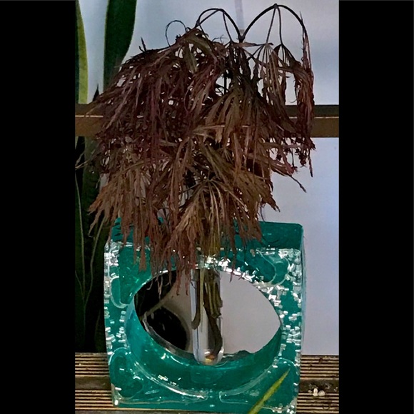 Plant & Cuttings Propagation Station - Watch plants growing their root systems! - Picture 4 of 7